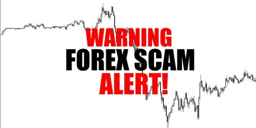 Don't Fall for These Common Forex Scams